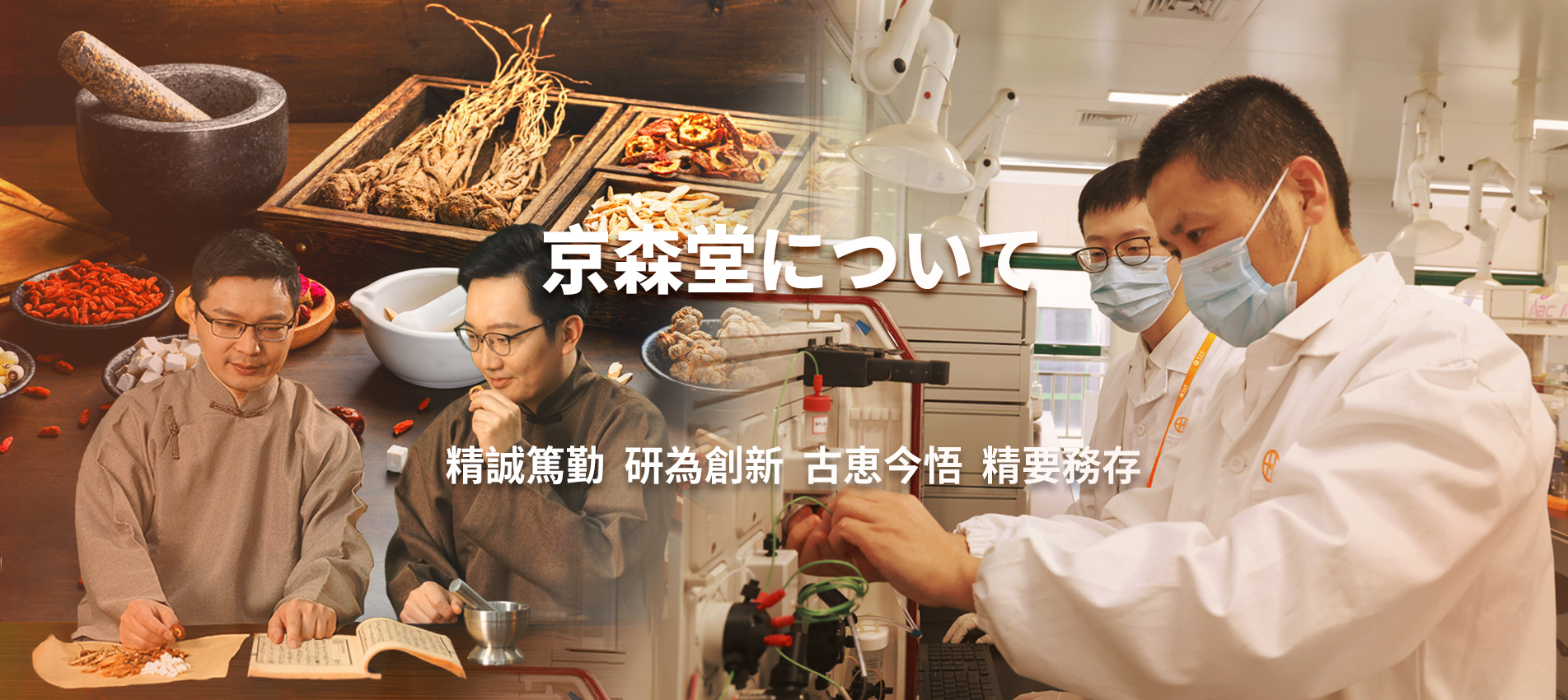 企業情報
